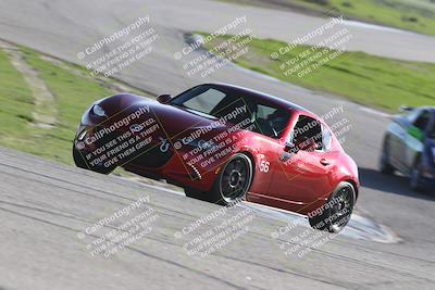 media/Jan-10-2026-Turn8 Trackdays (Sat) [[448b66da83]]/Purple/Session 3 (Off Ramp)/